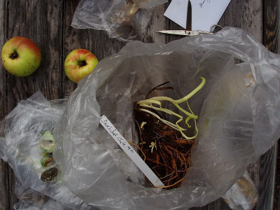 ende_einer_odyssee2009_zg.jpg