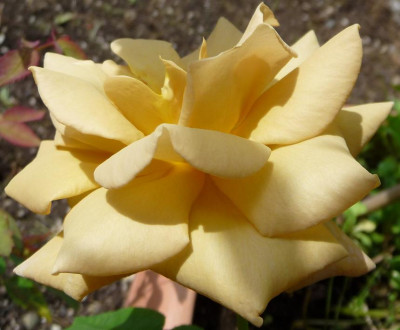 Jactan_08_09_02.JPG