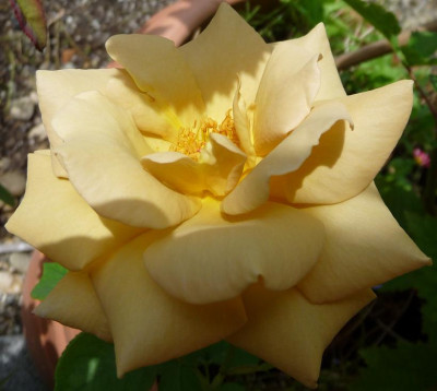 Jactan_08_09_03.JPG
