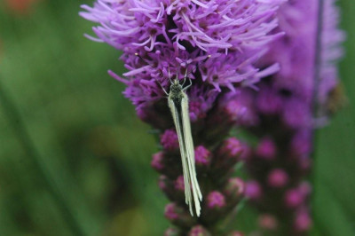 07._08._2008_026.jpg