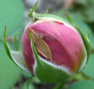 Heimkehrer_08_09_18_.JPG