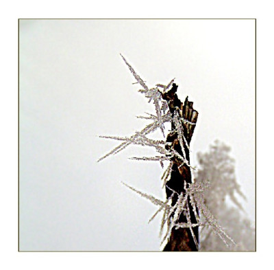 der_winter_ist_schoen.jpg