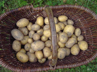 PICT3445.JPG