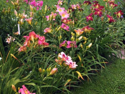 Hems_Rosa-Lavendel-Violett006.jpg