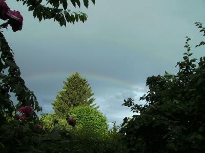 Regenbogen_I.jpg