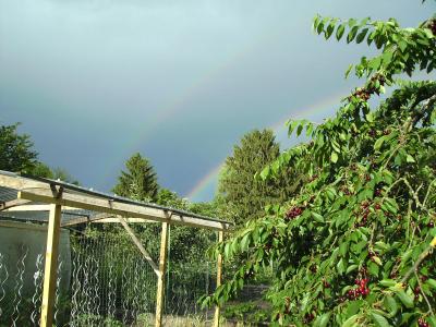 RegenbogenmitKirschen.jpg