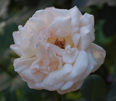 Emmelyne_0010__56503.jpg