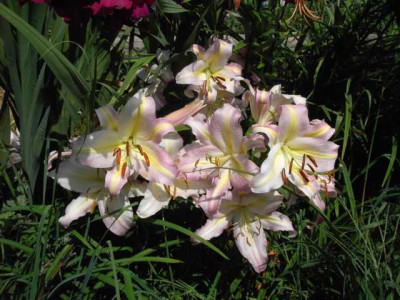 K640_PICT0048.JPG
