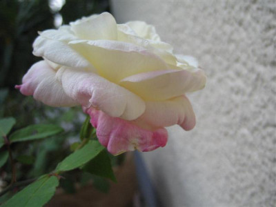 IMG_6262_Small.JPG