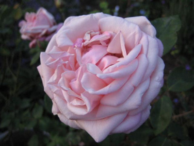 IMG_6282_Small.JPG