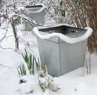Schnee.jpg