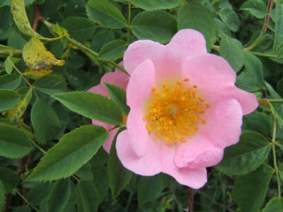 DSCF7563.JPG
