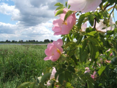 DSCF7566.JPG