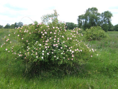 DSCF7573.JPG