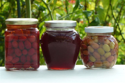 Kornelkirschen.21.08.2009.00.JPG