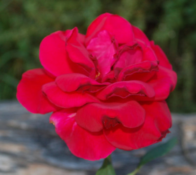 Mirandy_0010___57053.jpg