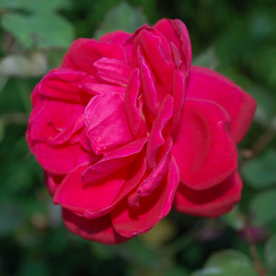 Etincelante_0010__57049.jpg