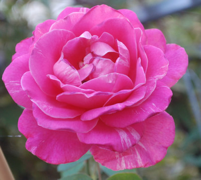 Igdir_0010__57069.jpg