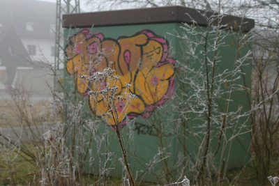 Loc-Marz-1.jpg
