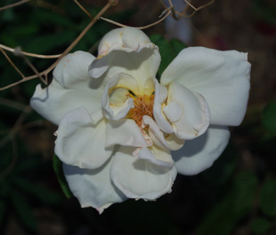 Drei_Gleichen_0010__57010.jpg
