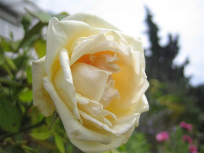 IMG_6322_Small.JPG