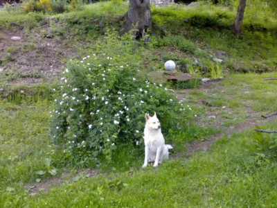 K640_06012007779.JPG