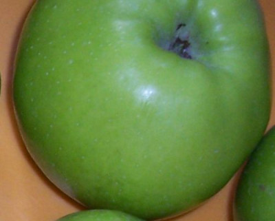 000_4221_Apfel_Unterseite.jpg