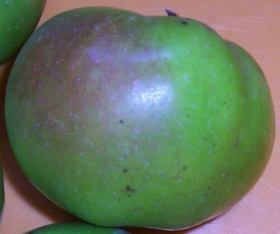 000_4222_Apfel_Sonnenseite.jpg