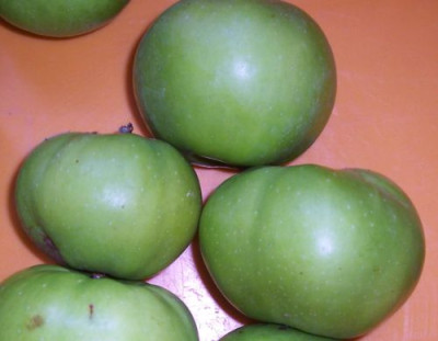 000_4223_Apfel_Seitenansicht.jpg