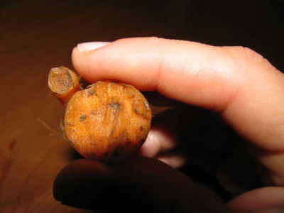 K640_IMG_0998.JPG