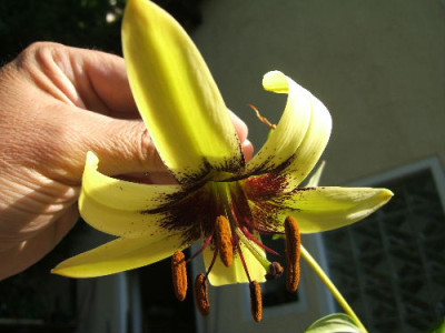 DSCF9731.JPG