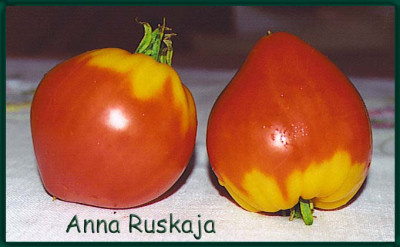 Anna_Ruskaja.jpg