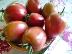CIMG2866-kl.jpg