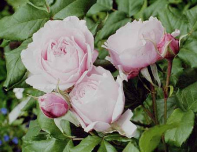 009_08_Kopie.jpg