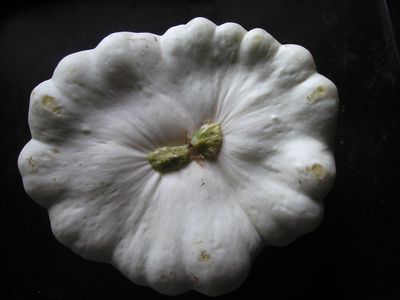 Doppelzucchino.jpg