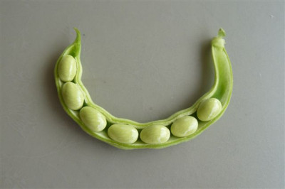 Posthoernchen.08.2009.70.JPG