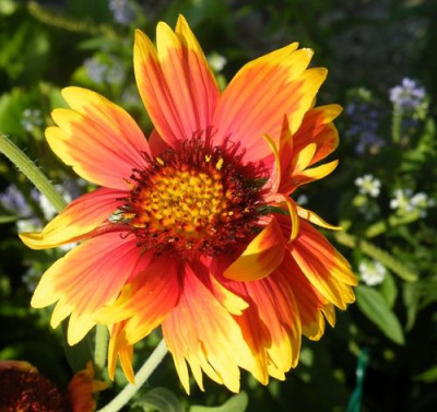 DSCF4389.jpg