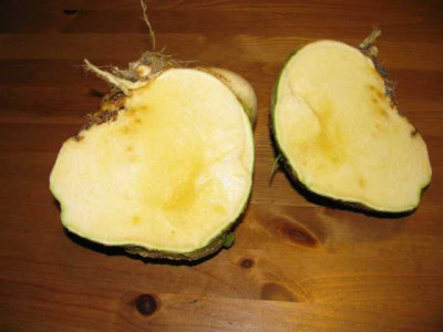 K640_IMG_1023.JPG