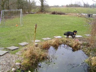 Garten.JPG