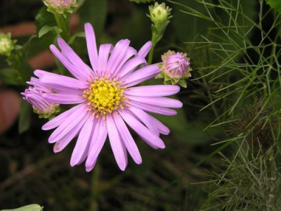 090809_09a.jpg