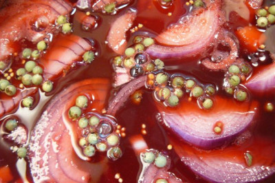 Chutney.30.08.2009.00.JPG
