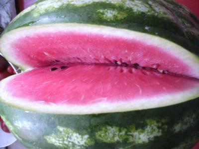 Melone_innen.jpg