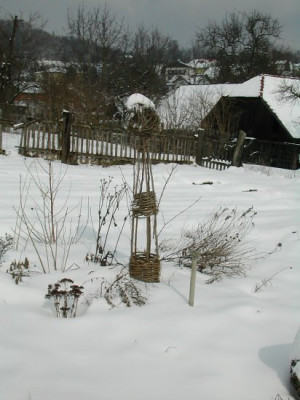 28_feb_2004.jpg