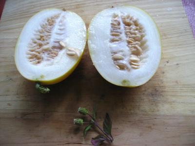 Ledermelonehalb.jpg