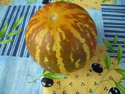 ersteTiggermelone.jpg