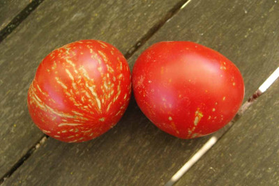 Feuerwerk5.jpg