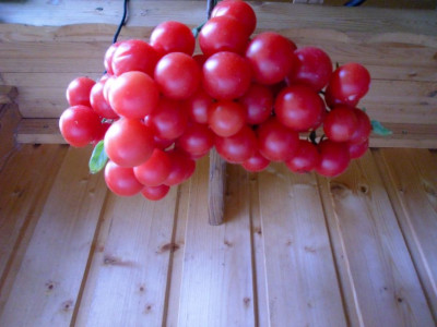 Lea_rot_v.Anne_Marie_08_25-3.jpg