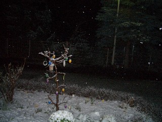 Osterbaum_Schnee_nachts.jpg