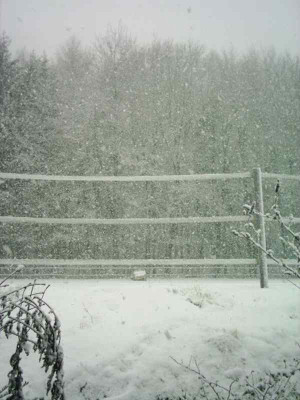 Schnee_wohin_man_schaut2.JPG