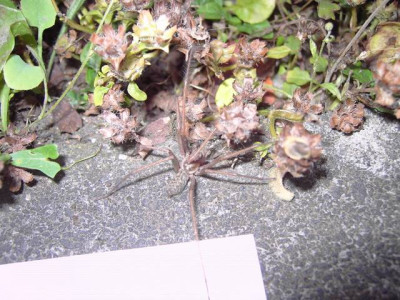 PICT3568.JPG